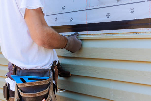 Best Custom Trim and Detailing for Siding  in Albany, WI